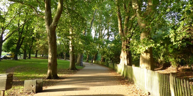 Area guide for Newbury Park