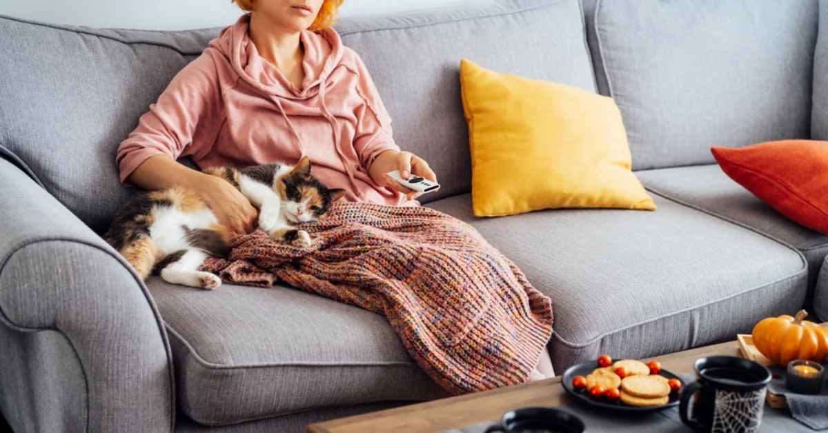 pets in rental properties law uk 2025